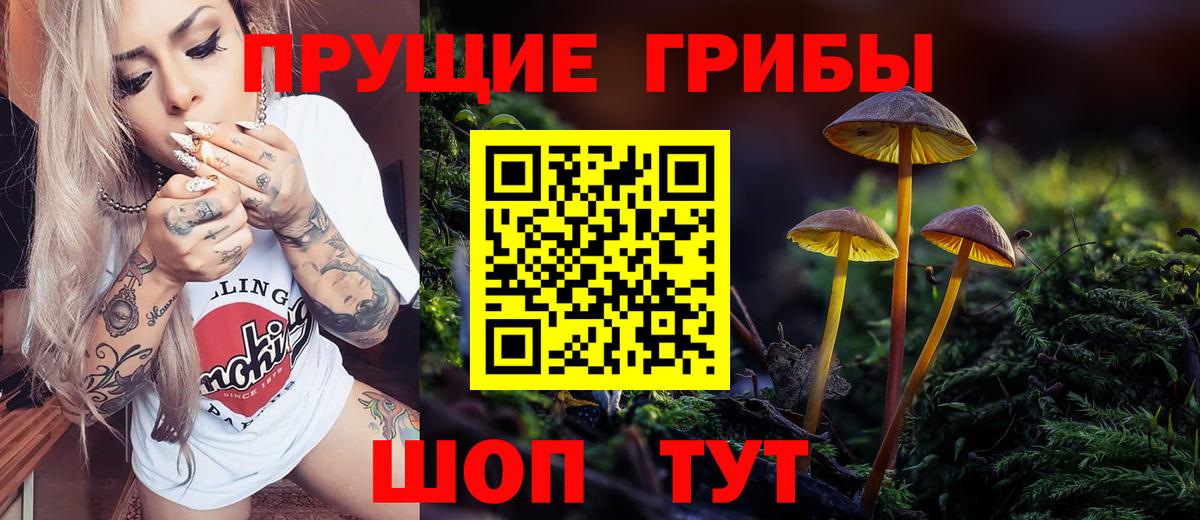 Темрюк  Псилоцибиновые грибы Psilocybine cubensis  Вход с VPN  Галлюциногенные грибы Psilocybe 