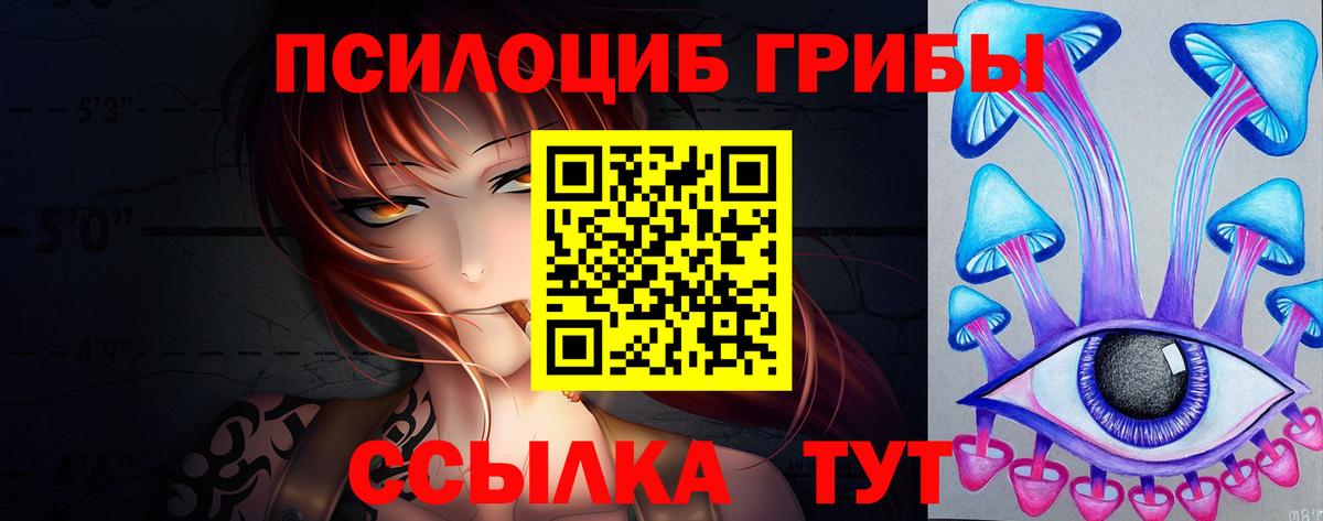 Псилоцибиновые грибы Psilocybe Темрюк